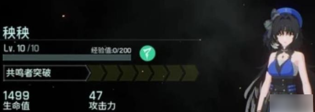 鸣潮龙主是谁