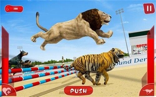 狮子赛跑