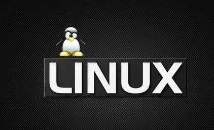 国产免费linux有哪些？开启开源新征程