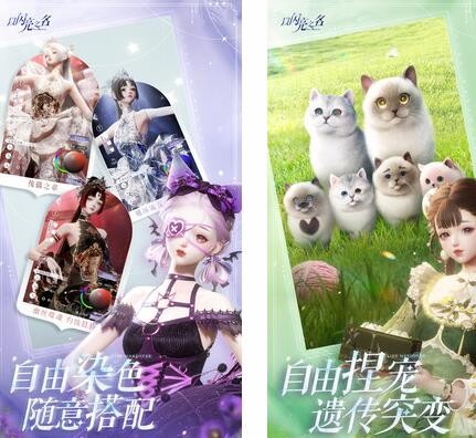 如何通过“以闪亮之名”增加好友度：提升社交互动的有效策略