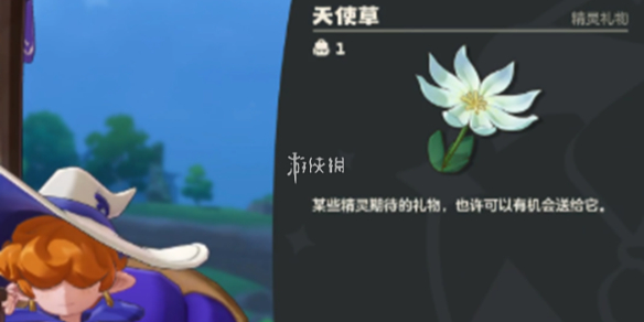 洛克王国世界天使草采集点位一览