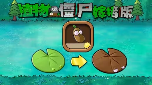 植物大战僵尸嫁接版新植物咖啡豆荷叶怎么样 pvz嫁接版新植物咖啡豆荷叶介绍