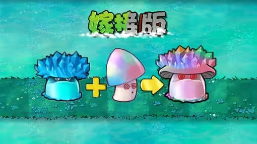 植物大战僵尸嫁接版新植物魅惑寒冰菇怎么样 pvz嫁接版新植物魅惑寒冰菇介绍
