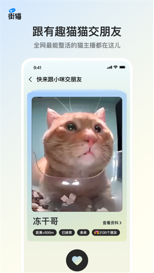 街猫app免费版