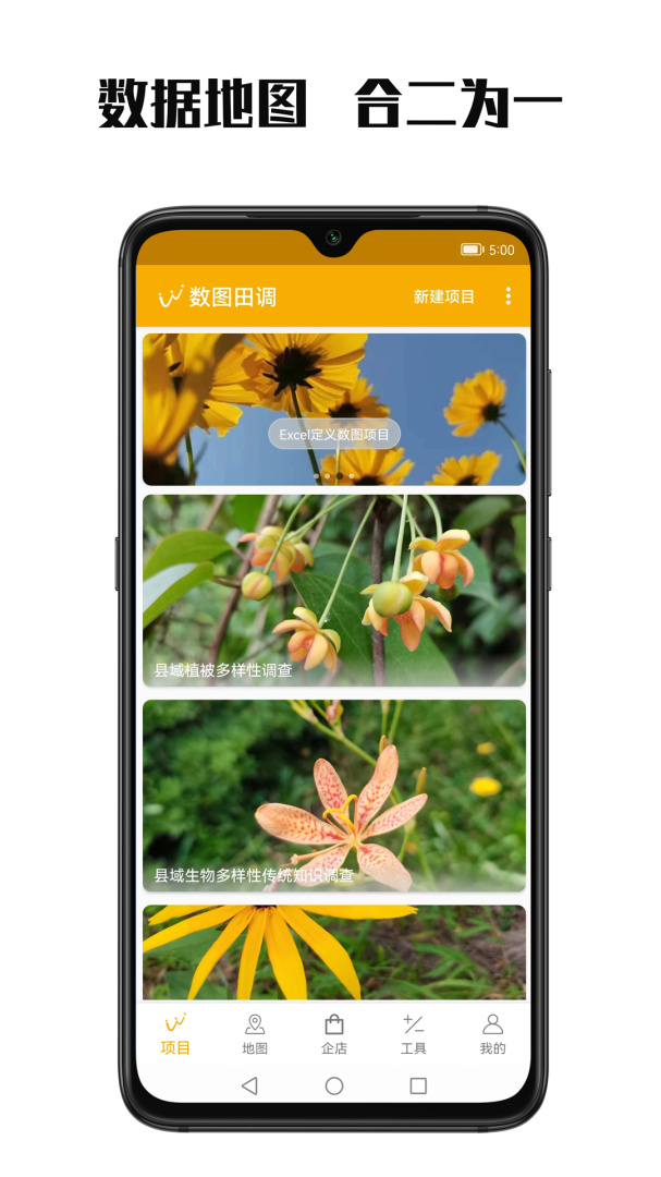 数图app手机版