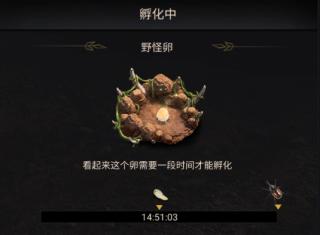 小小蚁国九游版