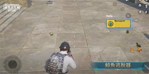 和平精英国际服PUBG