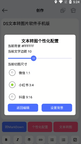 DS文本转图片