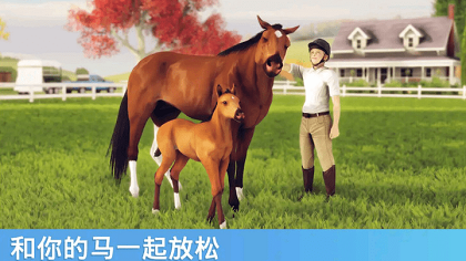 奔跑的马 