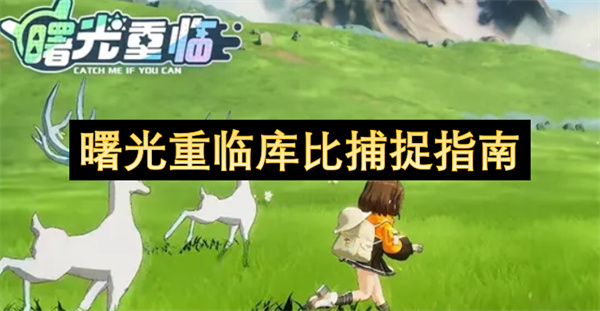 曙光重临库比捕捉指南