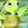 宝宝肚肚打雷啦语音包