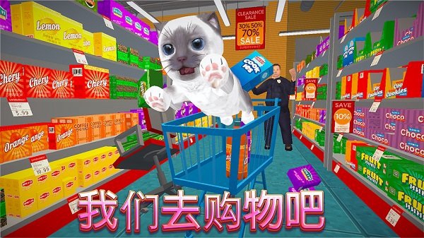 catsimulator猫咪模拟器 