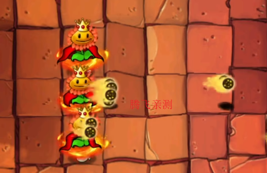 植物大战杂交版下载安装最新版