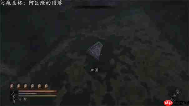 污痕圣杯阿瓦隆的陨落古物如何镶嵌-宠物培养的独家秘籍