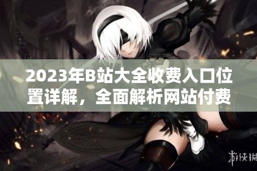2023年B站大全收费入口位置详解，全面解析网站付费服务最新动向 