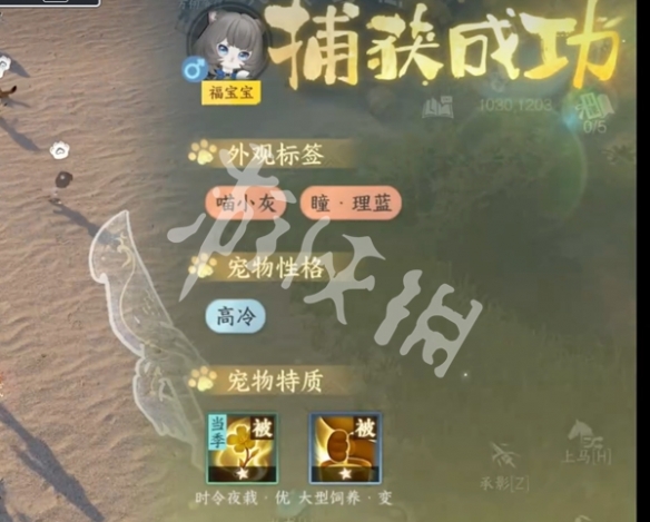 逆水寒手游福宝宝捕捉方法
