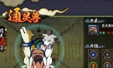火影忍者破解版2022