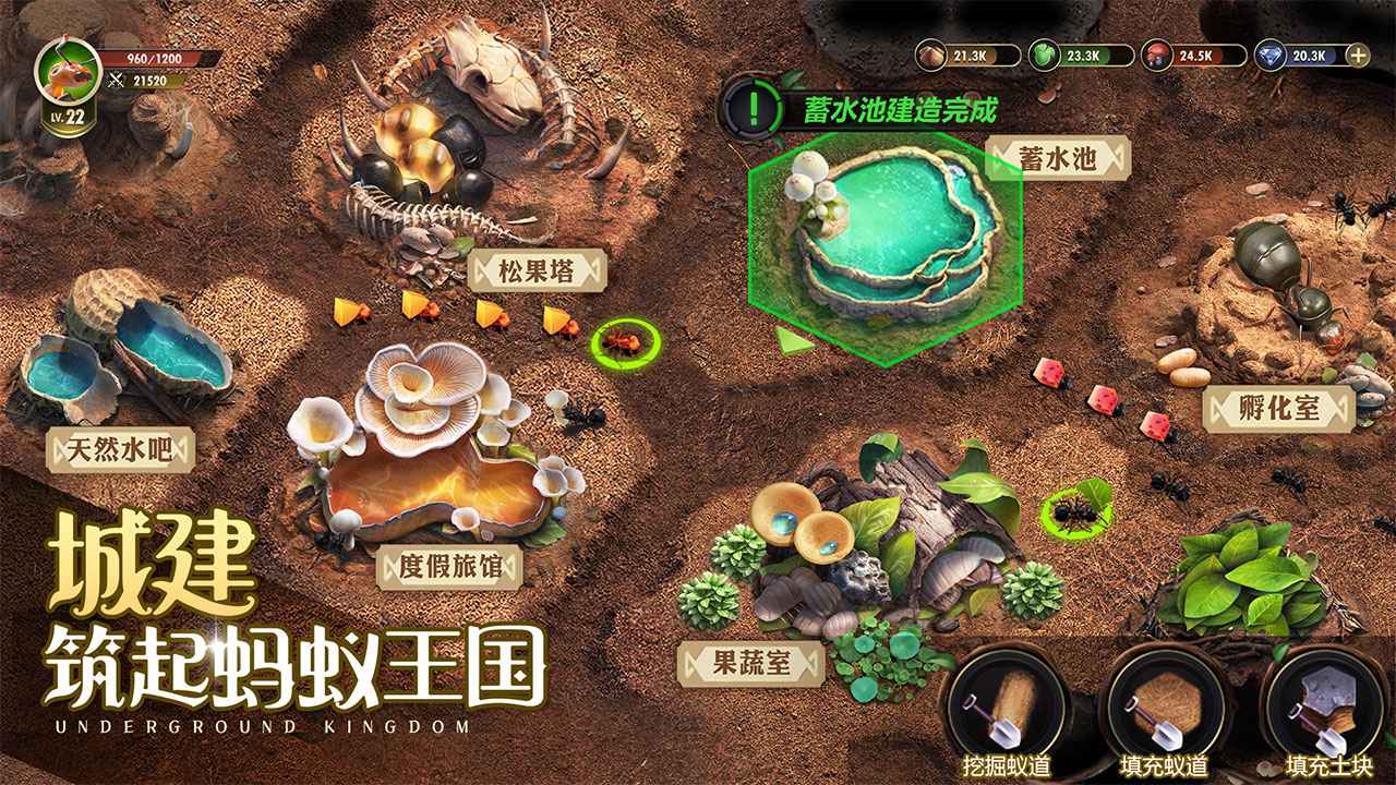 小小蚁国无限金币无限钻石版