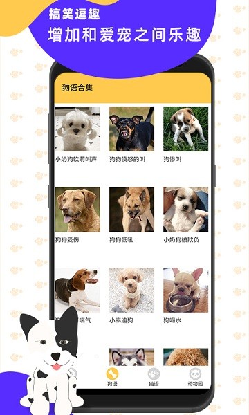 猫狗翻译神器最新版下载