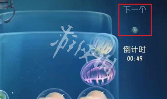 第五人格合成水母万分教程