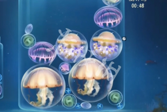 第五人格合成水母万分教程