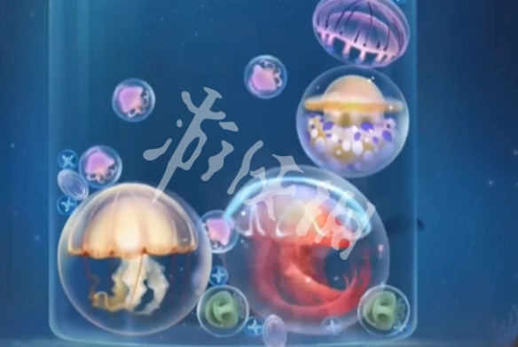 第五人格合成水母万分教程