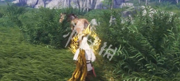 燕云十六声秦马捕捉技巧