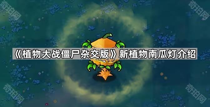 植物大战僵尸杂交版新植物南瓜灯怎么样 新植物南瓜灯介绍
