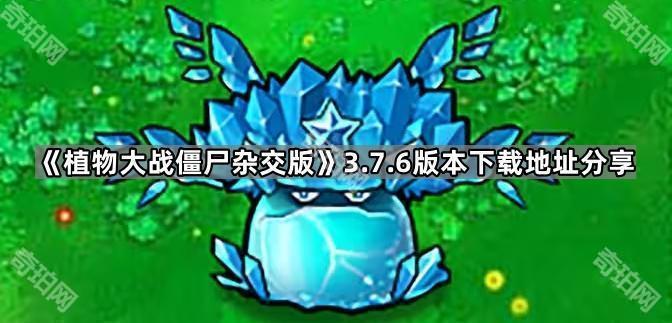 植物大战僵尸杂交版v3.7.6在哪下载 PVZ杂交版3.7.6版本下载地址分享