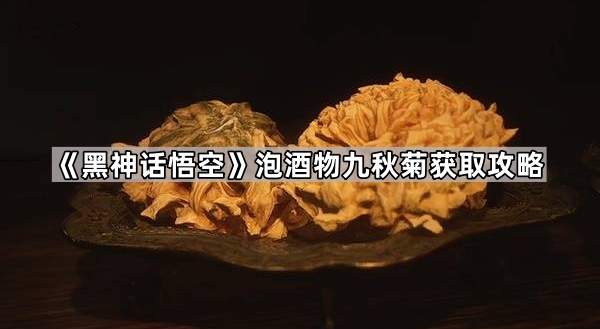 黑神话悟空泡酒物九秋菊怎么获得 泡酒物九秋菊获取攻略