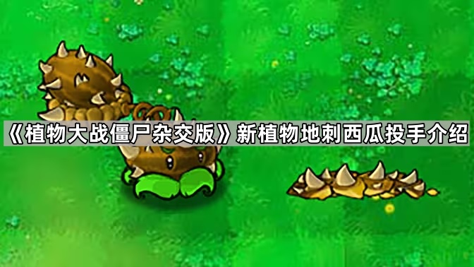 植物大战僵尸杂交版地刺西瓜投手怎么样 新植物地刺西瓜投手介绍